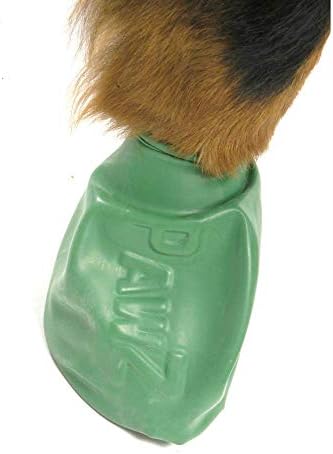 PawZ Köpek Botu X-Large / Yeşil ve Siyah 24 Patik