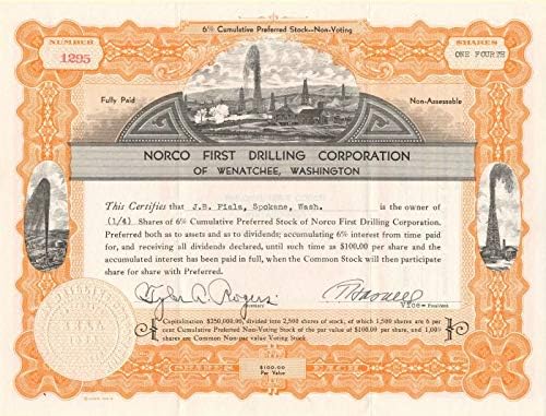 Norco First Drilling Corporation - Stok Sertifikası