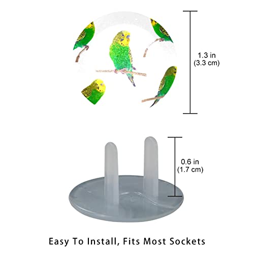 Muhabbet Kuşu Muhabbet Kuşları Melopsittacus Priz Kapakları 12'li Paket-Bebek Güvenliği Priz Kapakları-Dayanıklı ve Sabit-Çocuk