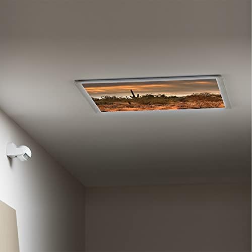Sınıf Ofisi için floresan ışık kapakları-Saguaro Deseni-Sınıf Ofisi için Floresan ışık Kapakları - 2ft x 4ft Açılır Tavan
